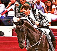 DESTAQUE CAMPO PEQUENO TV  Cavalos de Toureio no Campo Pequeno